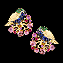 Коллекция: Birds of paradise